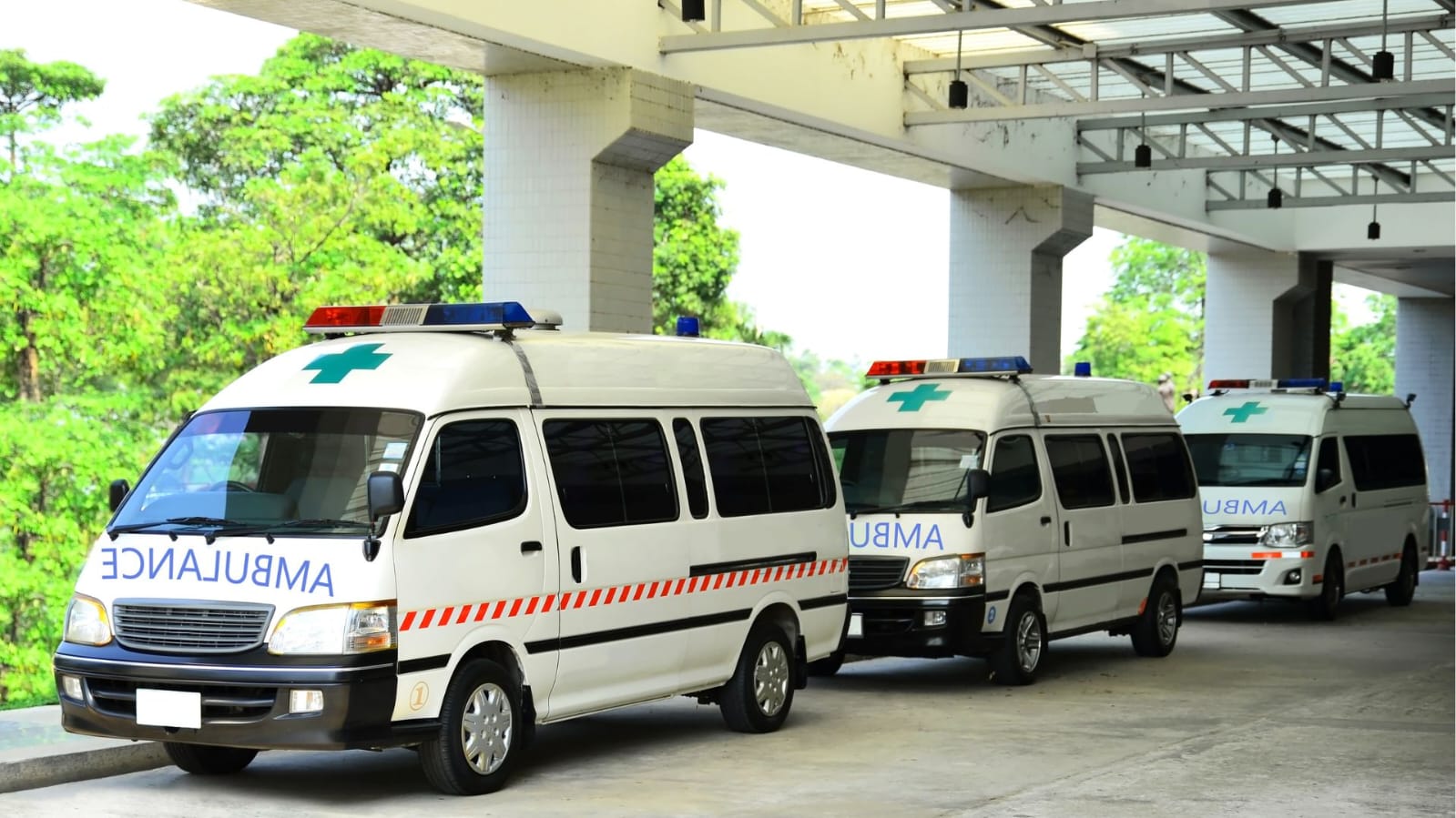 WhatsApp Image 2025 08 07 At 2.15.25 AM